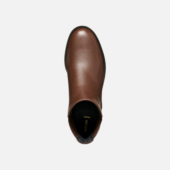 Camexia Abx Mulher