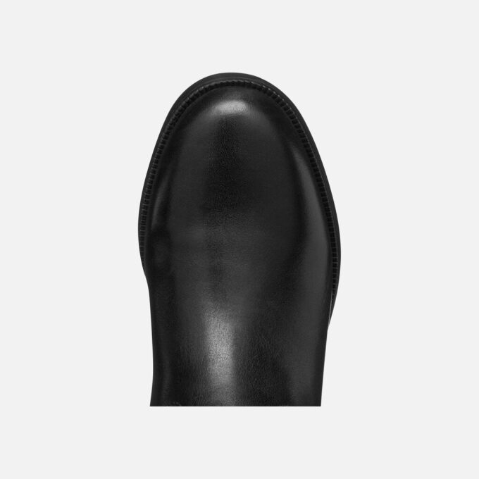 Camexia Abx Mulher